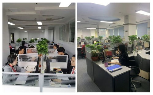 成都市成華區(qū)府青路街道第七次全國(guó)人口普查咨詢熱線服務(wù)開通